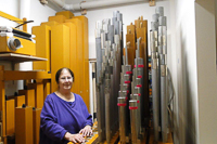 Halie and Great division